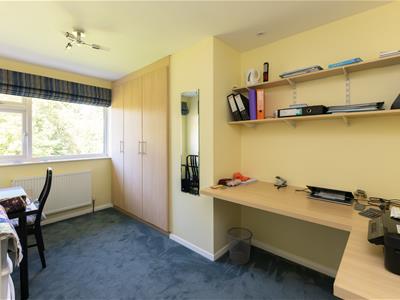 Picture 20